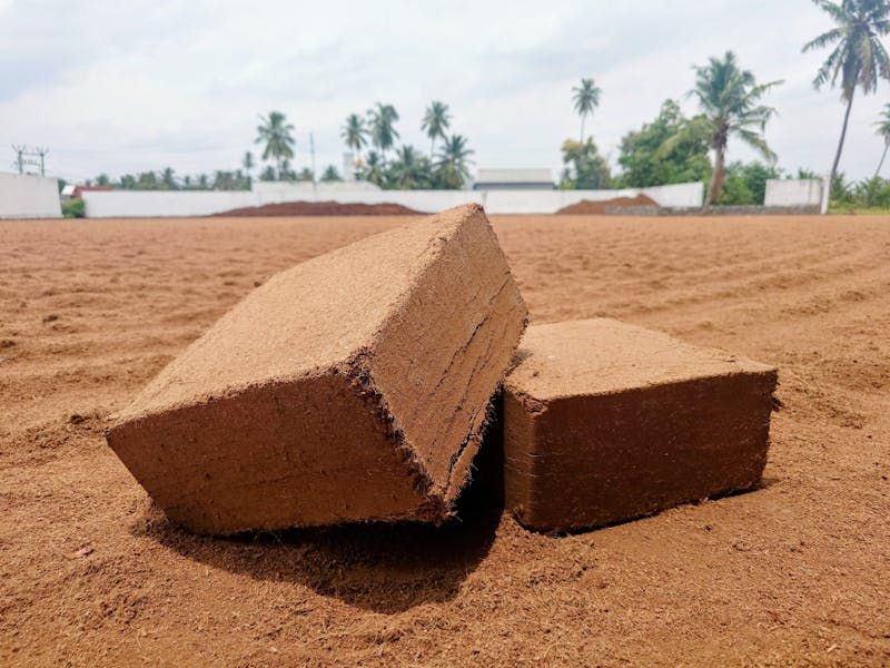 Two compressed coco peat blocks resting on dry coco peat, with palm trees behind a white wall